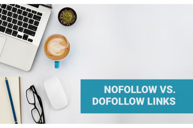 do follow dan no follow link