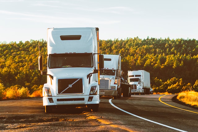 transportation management system adalah