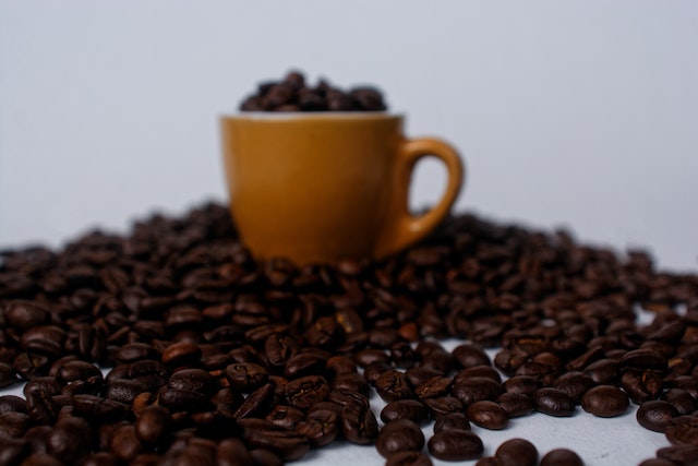 supplier kopi