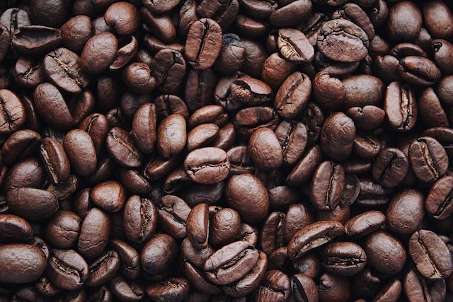 supplier kopi