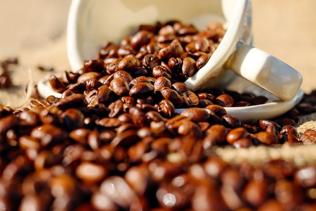supplier kopi