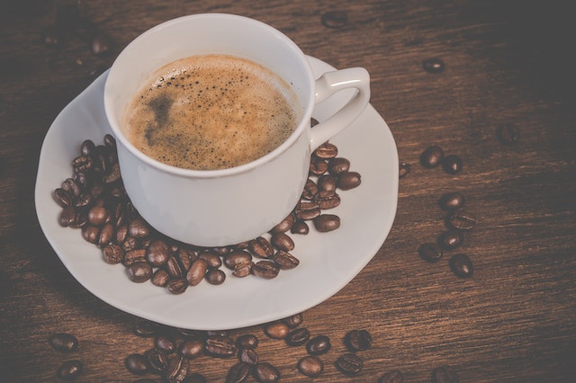 supplier kopi