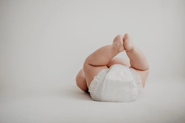 distributor pampers
