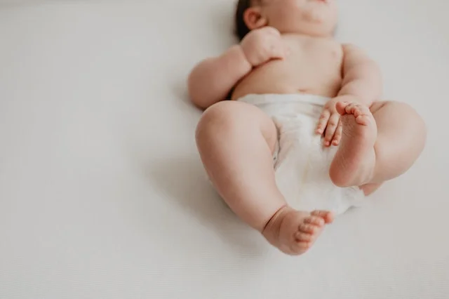 distributor pampers