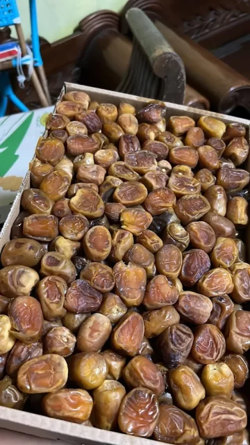 distributor kurma