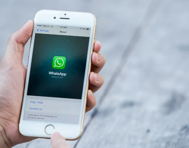 broadcast whatsapp adalah