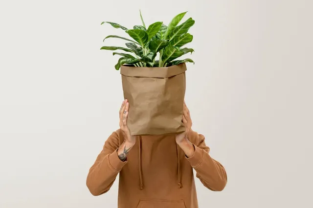 cara packing tanaman untuk dikirim