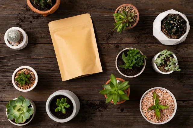 cara packing tanaman untuk dikirim