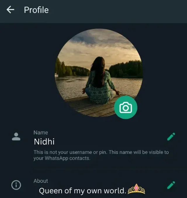 contoh bio wa aesthetic