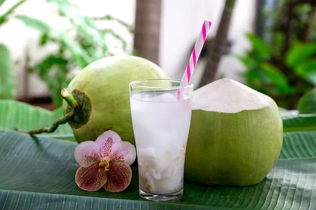 es kelapa muda