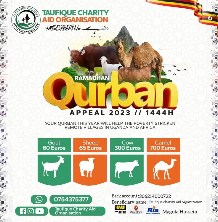 banner jual hewan qurban-7